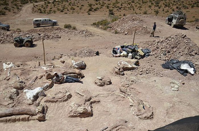 Largest Dinosaur Ever Gets Discovered In Argentina (11 pics)