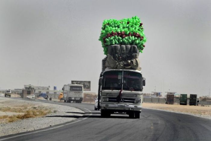 The Strangest Transportation Methods Ever (50 pics)