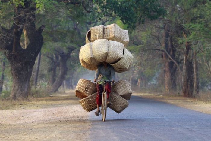 The Strangest Transportation Methods Ever (50 pics)