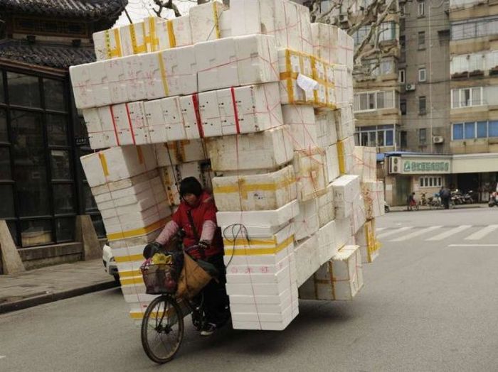 The Strangest Transportation Methods Ever (50 pics)