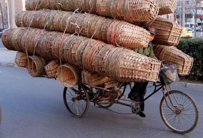 The Strangest Transportation Methods Ever (50 pics)