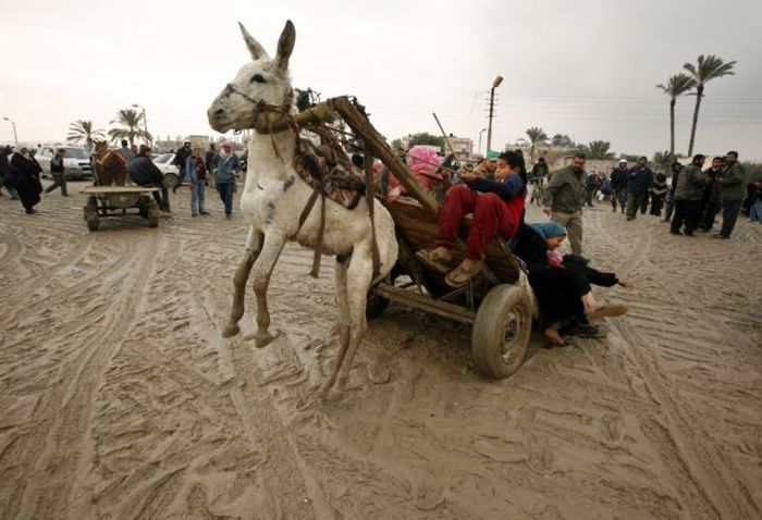 The Strangest Transportation Methods Ever (50 pics)