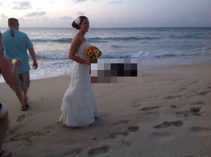 This Turtle Is A Total Wedding Crasher (5 pics)