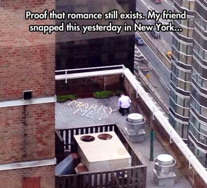 These Pictures Are Guaranteed To Make You Smile (51 pics)