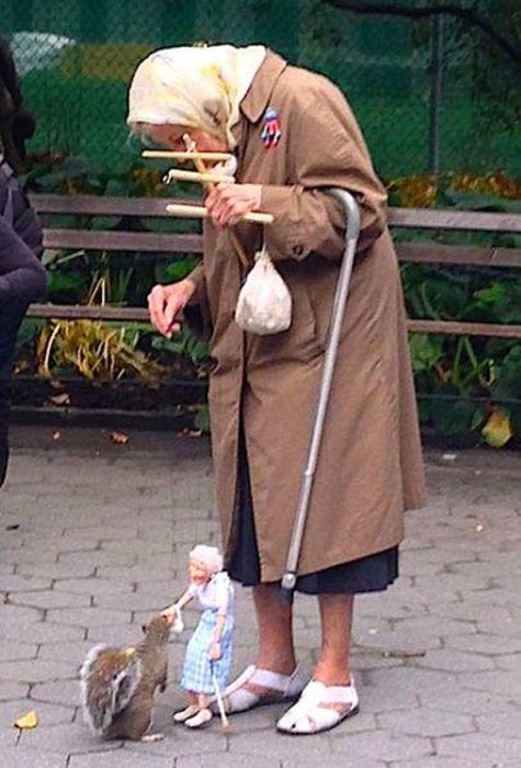 These Pictures Are Guaranteed To Make You Smile (51 pics)