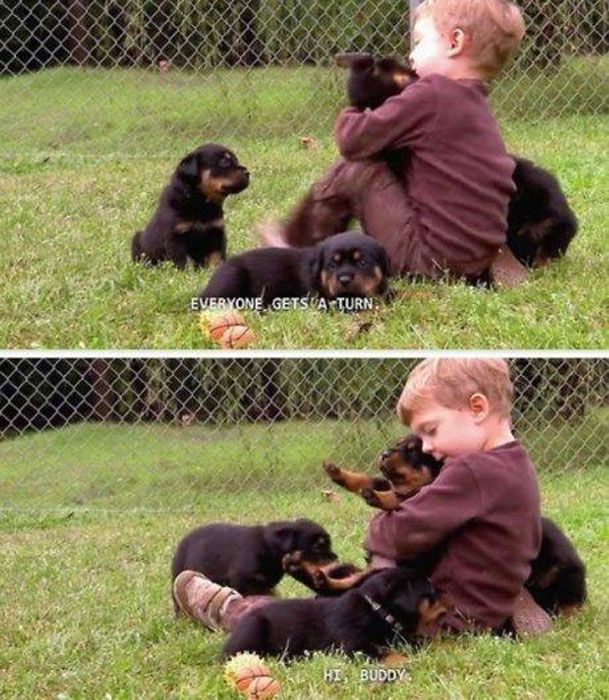 These Pictures Are Guaranteed To Make You Smile (51 pics)