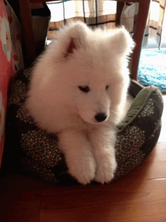 These Pictures Are Guaranteed To Make You Smile (51 pics)