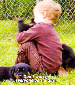 These Pictures Are Guaranteed To Make You Smile (51 pics)
