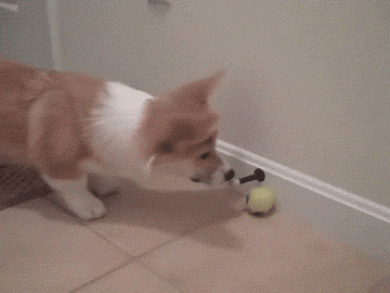 These Pictures Are Guaranteed To Make You Smile (51 pics)