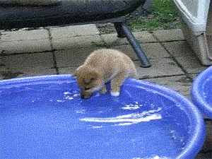 These Pictures Are Guaranteed To Make You Smile (51 pics)