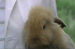 These Pictures Are Guaranteed To Make You Smile (51 pics)