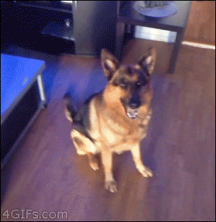 These Pictures Are Guaranteed To Make You Smile (51 pics)