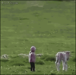 These Pictures Are Guaranteed To Make You Smile (51 pics)