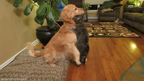 These Pictures Are Guaranteed To Make You Smile (51 pics)
