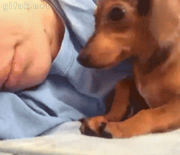 These Pictures Are Guaranteed To Make You Smile (51 pics)