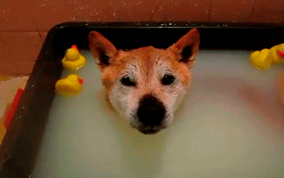 These Pictures Are Guaranteed To Make You Smile (51 pics)