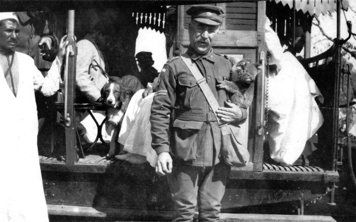 The Animals That Helped Fight World War I (45 pics)