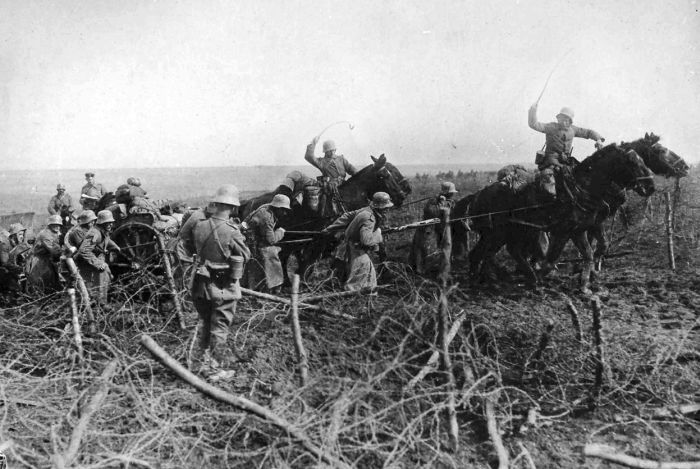 The Animals That Helped Fight World War I (45 pics)