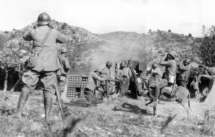 The Animals That Helped Fight World War I (45 pics)
