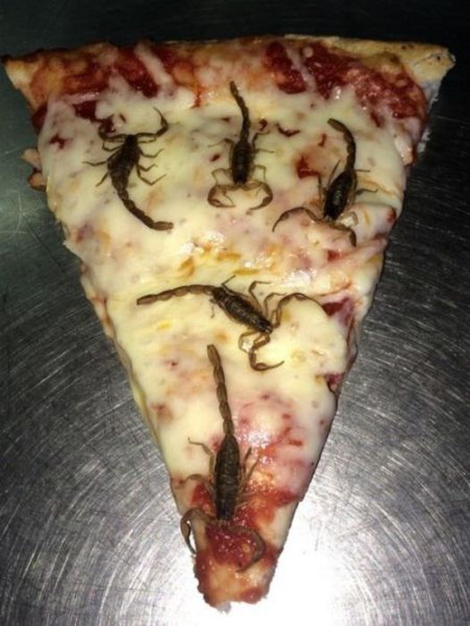 There's A Whole Lot Of Nope In Here (50 pics)
