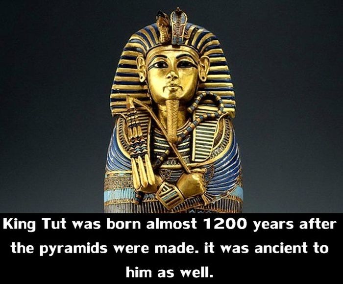Completely Random And Awesome Facts (26 pics)