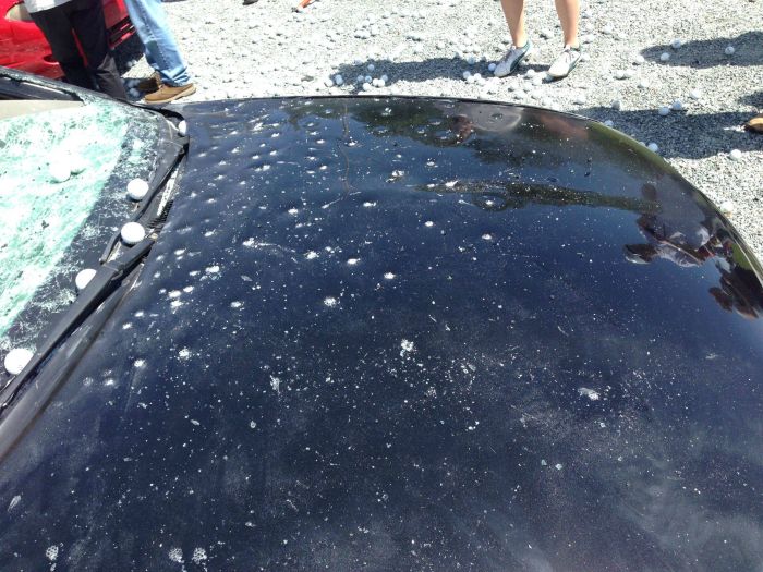 Golf Balls Fall From The Sky (5 pics)