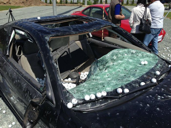 Golf Balls Fall From The Sky (5 pics)