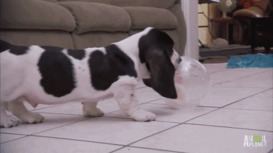 Acid Gifdump, May 26, 2014 (25 gifs)