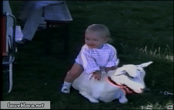 Acid Gifdump, May 26, 2014 (25 gifs)