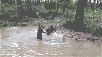 Acid Gifdump, May 26, 2014 (25 gifs)
