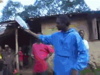 Acid Gifdump, May 26, 2014 (25 gifs)