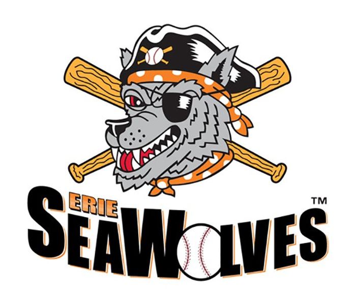 MLB Team Logos From The Minor Leagues 25 Pics 