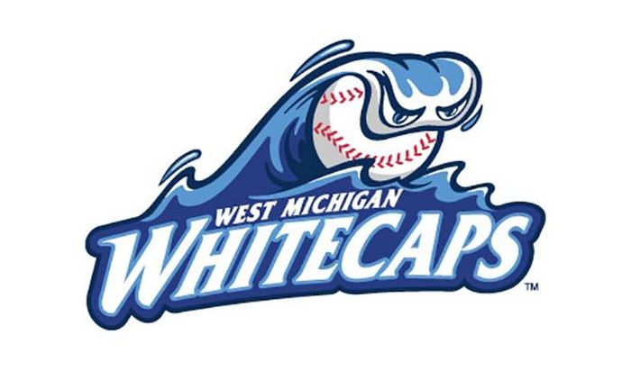 MLB Team Logos From The Minor Leagues (25 pics)