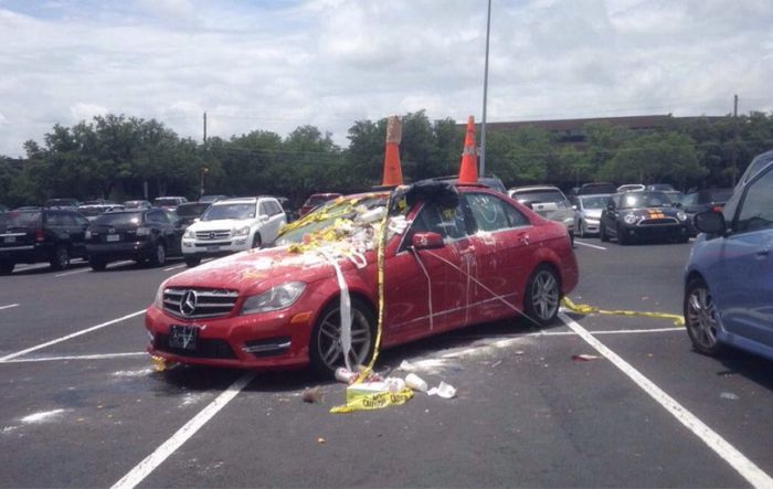 Acid Picdump (74 pics)