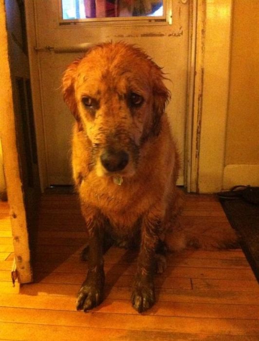 Acid Picdump (74 pics)