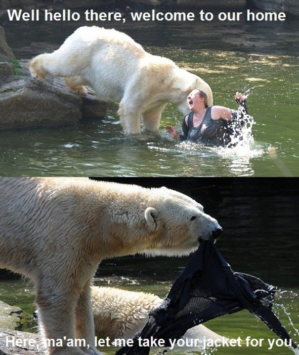 Acid Picdump (74 pics)