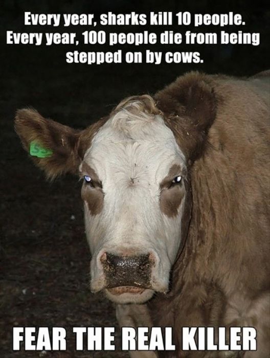 Acid Picdump (74 pics)