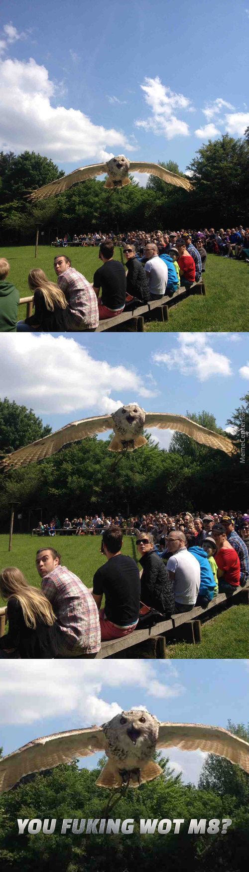 Acid Picdump (74 pics)