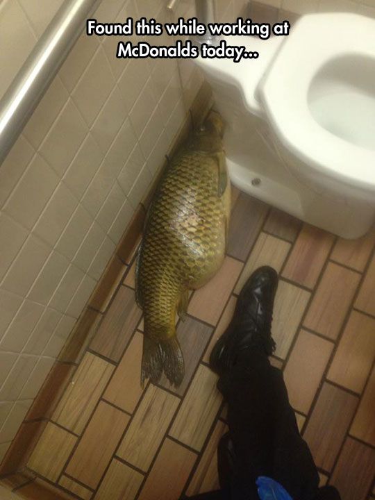 Acid Picdump (74 pics)