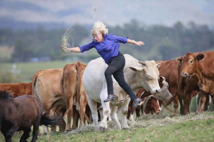 This Woman Gets Owned By A Bull (5 pics)
