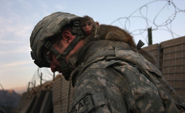 Remember What Memorial Day Is Truly About (50 pics)