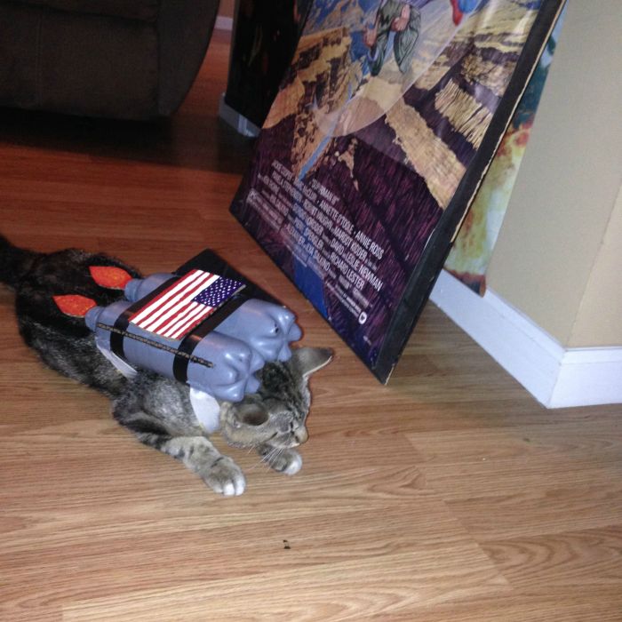 Nothing Says Cool Like A Cat With A Jetpack (11 pics)