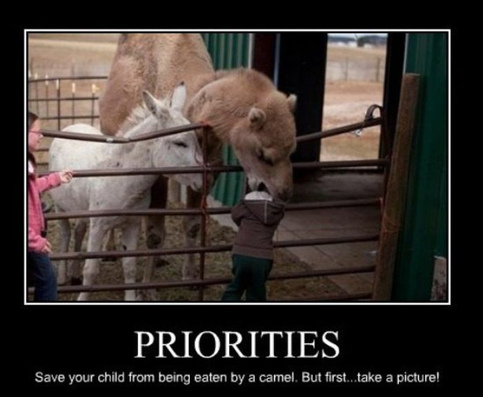 Demotivational Memes For The Real World (22 pics)