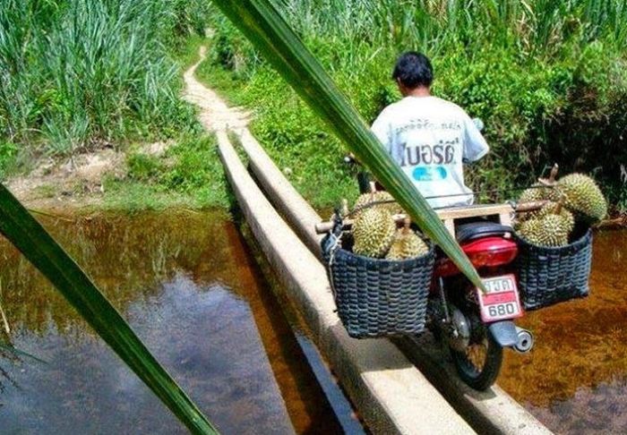 These Are The Things That You Will Only See In Asia (50 pics)
