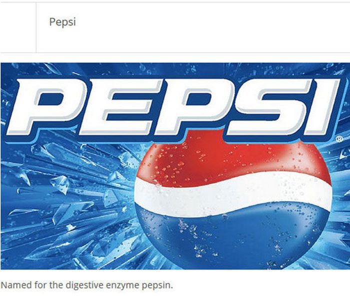 Find Out How Famous Companies Got Their Names (25 pics)