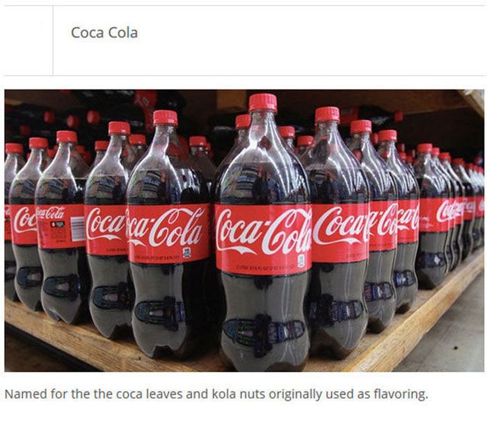 Find Out How Famous Companies Got Their Names (25 pics)