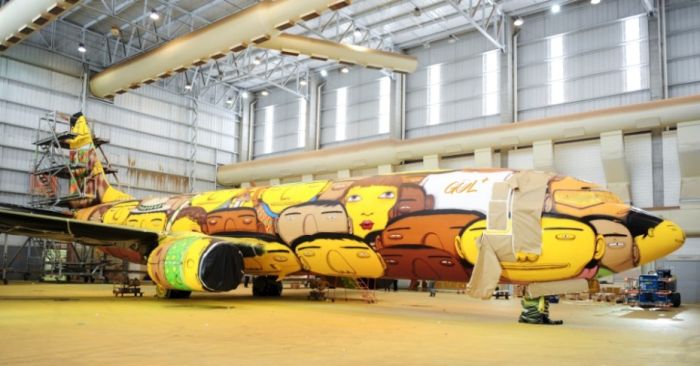 Graffiti Artists Paint The Coolest Plane Ever (18 pics)