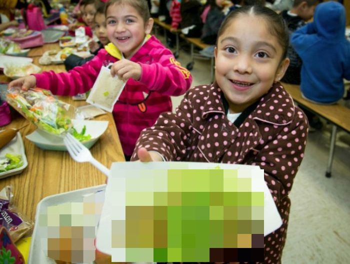 See The Gross Meals Hungarian Schools Serve (14 pics)