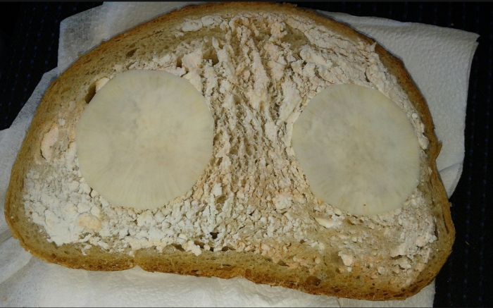 See The Gross Meals Hungarian Schools Serve (14 pics)