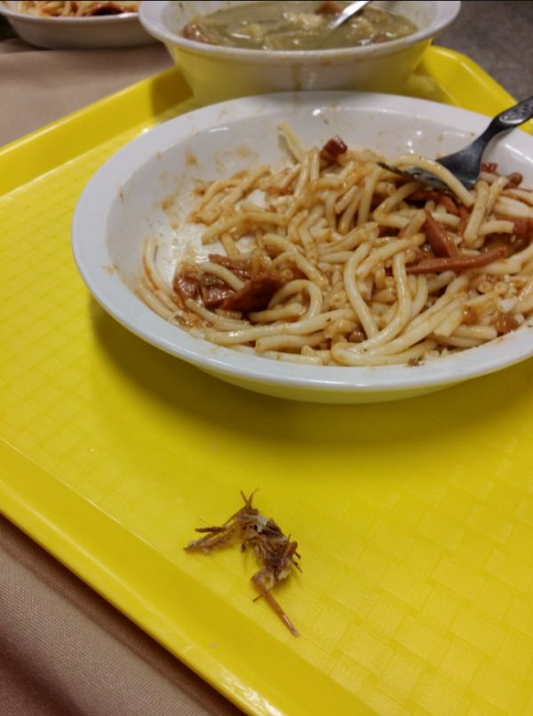 See The Gross Meals Hungarian Schools Serve (14 pics)